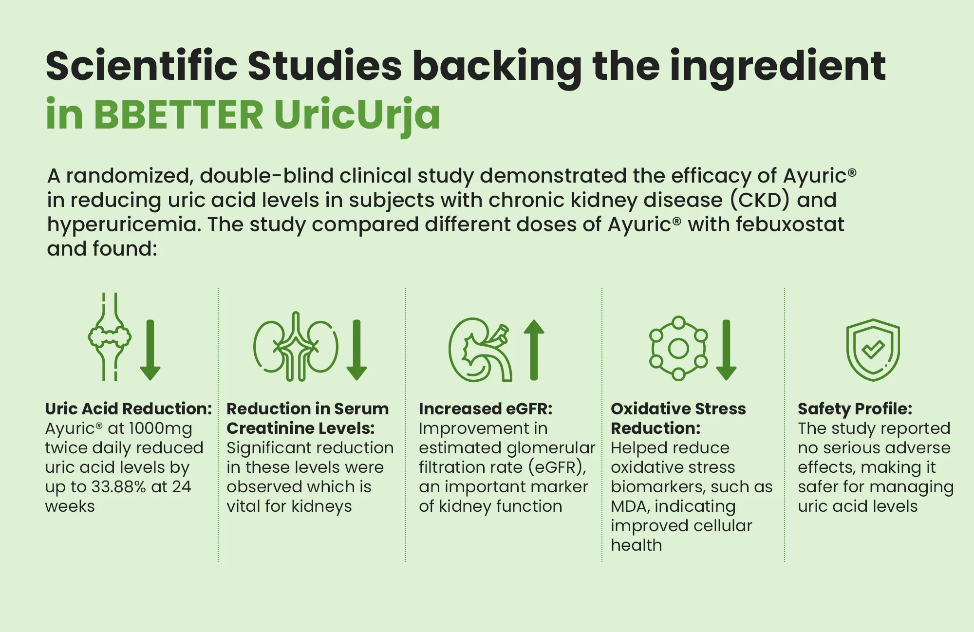 BBETTER UricUrja - With Clinically Proven Ayuric for Gout Pain Relief & Uric Acid Management - Image 4